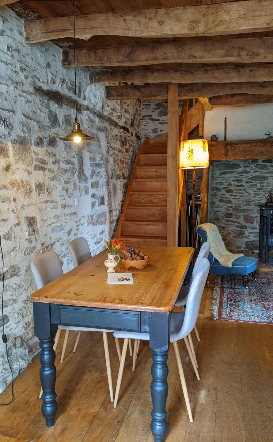 Machine à café expresso Four à ventilateur pleine grandeur Réfrigérateur congélateur Vaisselle Plaque à induction Grille-pain